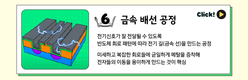 크롭 (6)